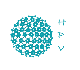 HPV Wissen